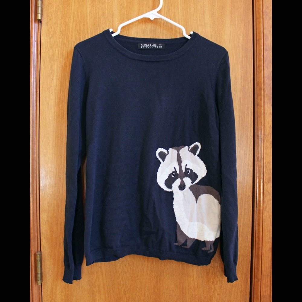 Raccoon Sweater